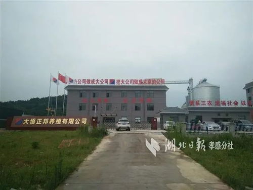 大悟73個重點項目建設 加速跑