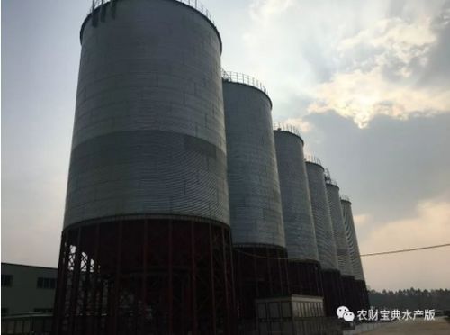 投2億元建30萬噸大飼料廠 開業當天就鎖定6萬噸銷量 匯海進入大爆發快車道